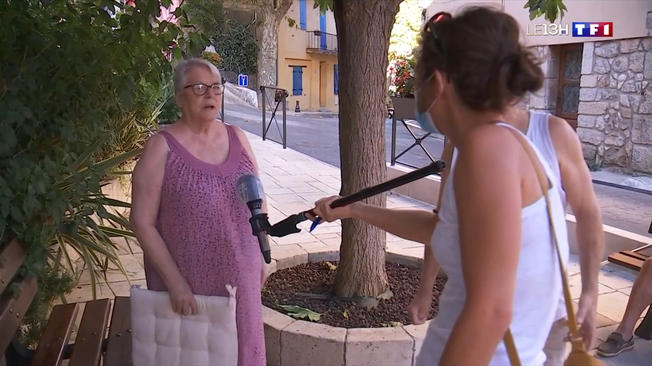 2020-08-26_13_00_TF1_Le-13h.mp4_snapshot_35.58.976