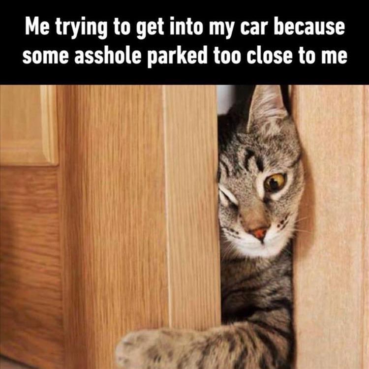 tryin_to_get_in_my_car.jpg