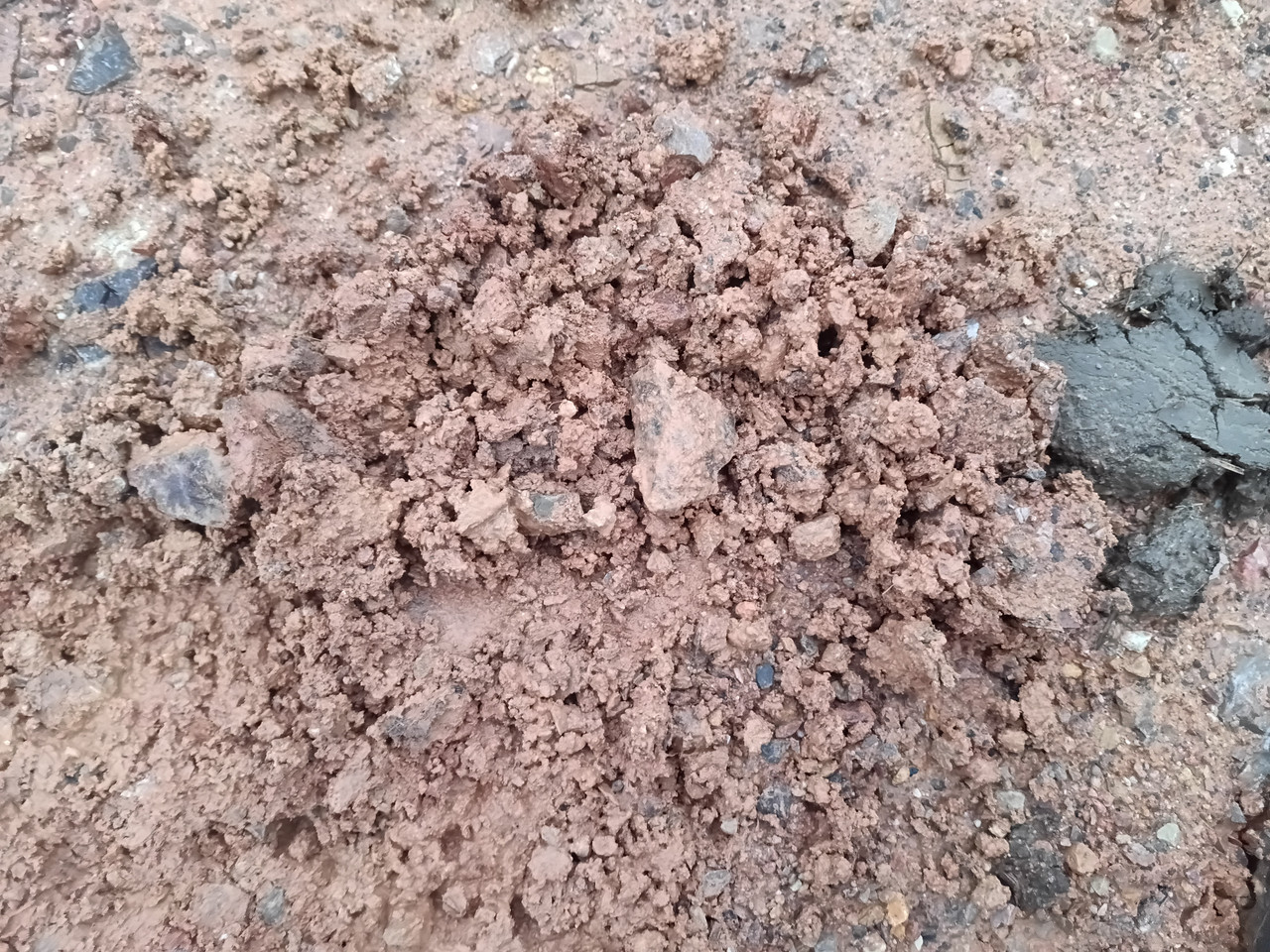 IMG 20251207 152939 937