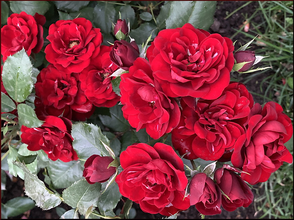 https://i.postimg.cc/rmXVf0pr/14.jpg