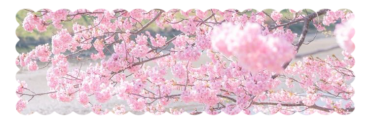 Mielle's banner