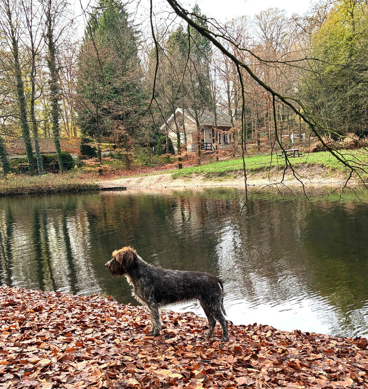 2025 02 12 Claire in stand IMG 5336 (002)