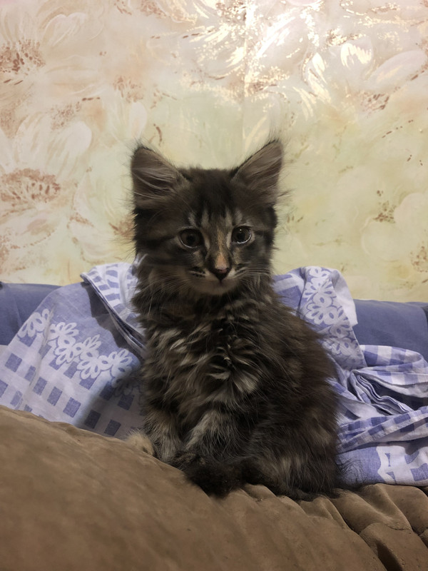 02E445B2-CF00-4F51-ACA1-0D8E1FE49C27