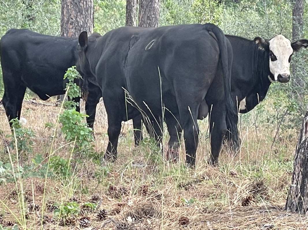 EC89F90D-6221-4CC5-996E-D32912C7A237