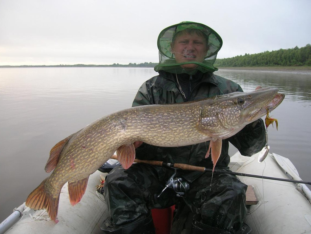 рыбу рукой брать джиг спиннинг судак щука мастер-класс Куляпин Андрей катушка приманка (7)