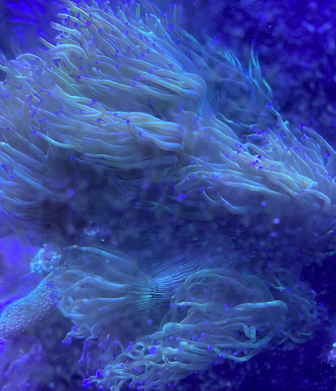 C6780EC8-D582-446F-A23D-CE39AC47D611