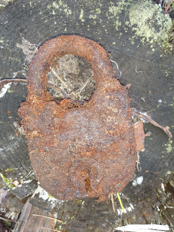 20211030_115104 – kopio