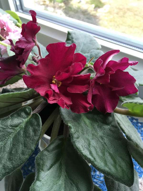 F3B4910E-56D5-47F0-ABF9-5AC03966A786