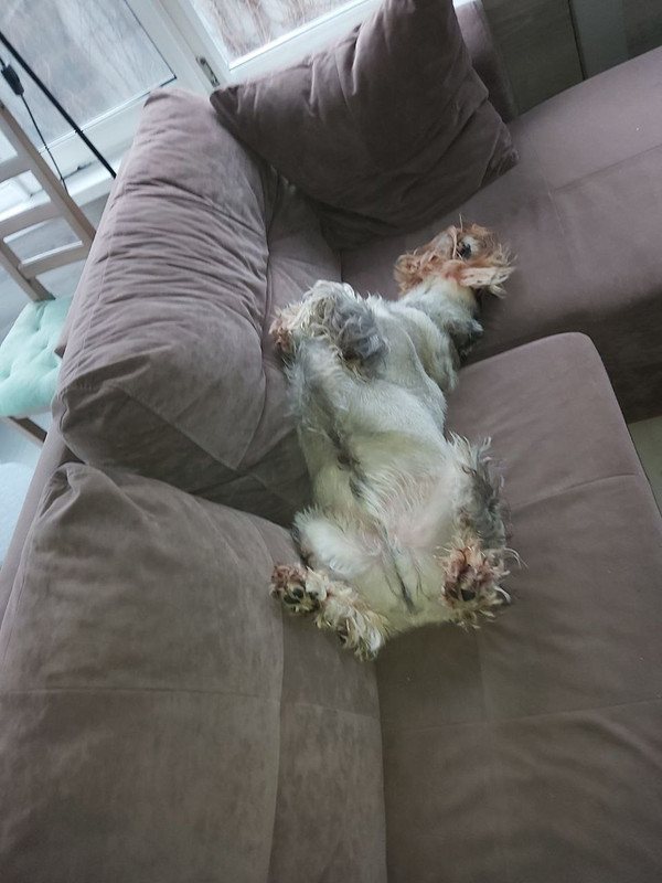 photo_2025-06-08_16-02-11 (2)