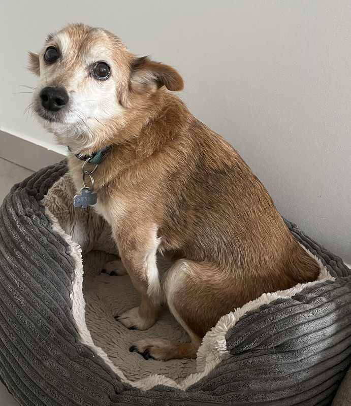 [Image: IMG-2995.jpg]