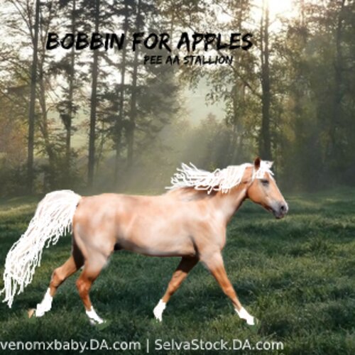 Bobbin-for-Apples-500x500.jpg