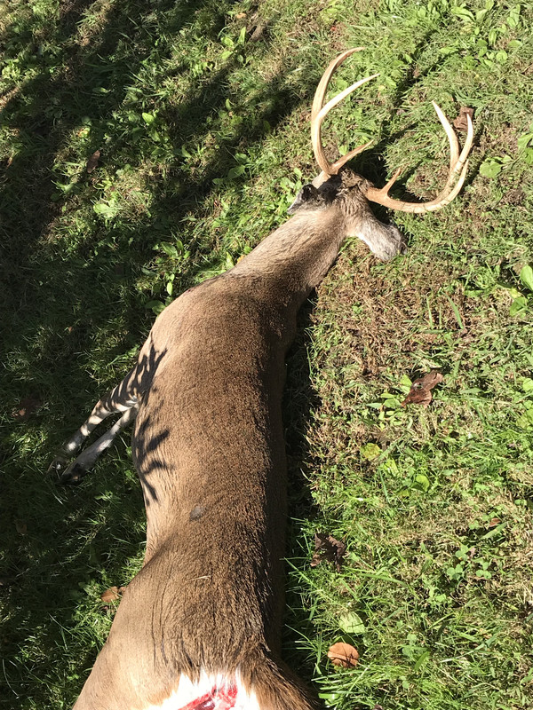 DB62A128-280E-4FB1-BD48-5F4E3EC70276