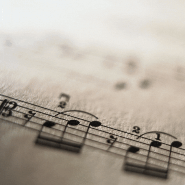 [Image: TCS-0003.gif]