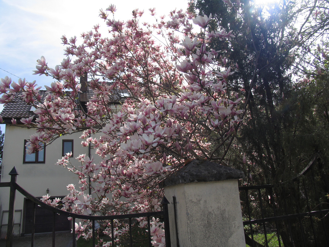 17 апреля 2025 005