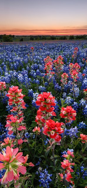 [Image: 19-CDD6-B5-CD71-4-C38-9-D3-E-990-B35-B7-DB5-A.jpg]