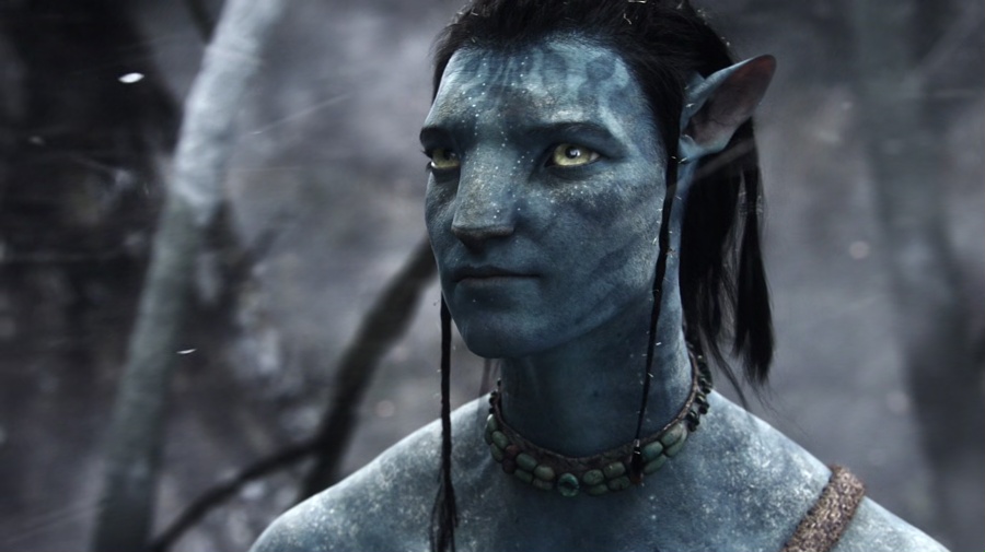 Avatar 2009 BluRay [Hindi + Tamil + Telugu + English] 1080p 480p 720p HEVC ESub Screenshot