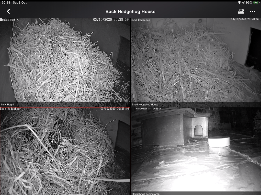 E5FFA4AA-AD62-4EE6-BD98-B72818AD9C9B