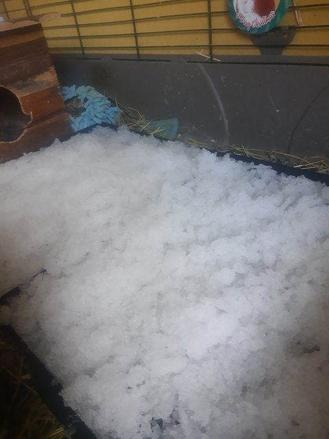 IMG-20241122-091311396.jpg