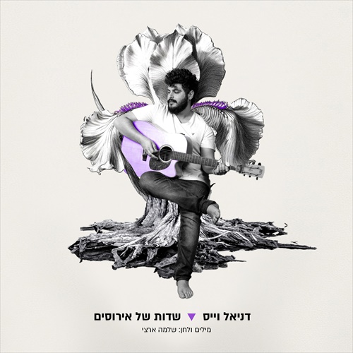 תמונה