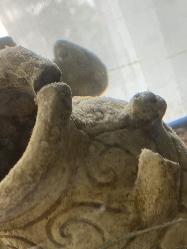 5F75C711-955C-433F-A70D-8D799AE00FE1