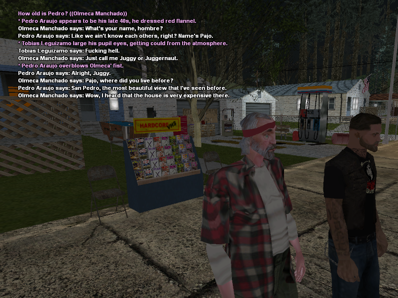 SSRoleplay378.png