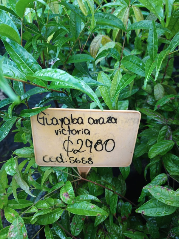 IMG_20221124_162039_576