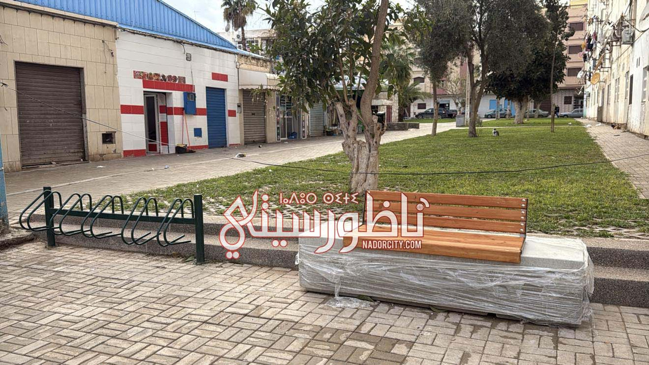 626125072-1226615825624683-9194764574079205107-n