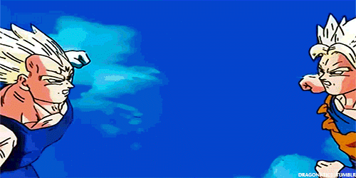 IMG-0456.gif