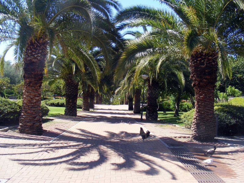 DSCF9868.jpg