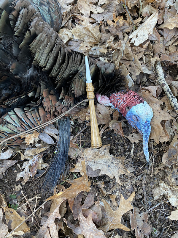 76D29260-194E-4EB1-8B8D-2747172CDC92