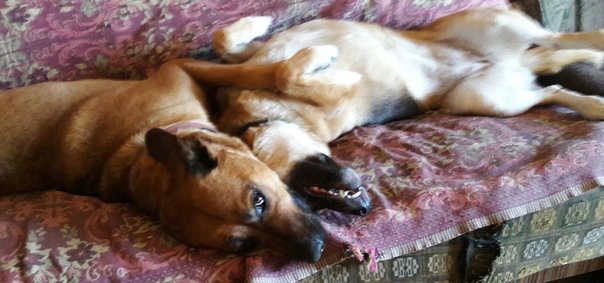 C207D9D9-4281-4DCD-897D-513B993ACF6A