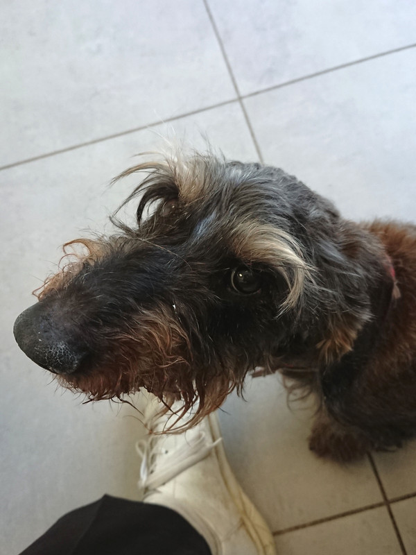 [Image: DSC-3743.jpg]