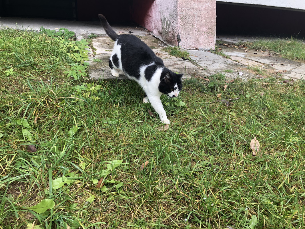 7FEC359B-C855-4CA6-8A91-6C34CDBF3F26