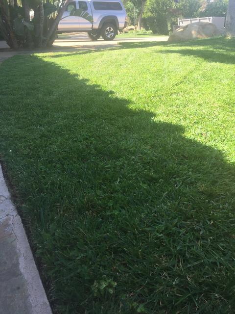 D9FF71F2-48FD-4429-985D-D28E779DF7AC