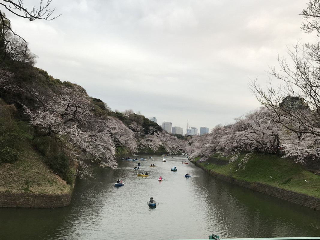 6EDD18A1-B0CF-41C7-9436-1A0F739D167A