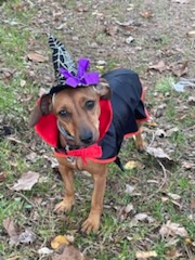 [Image: IMG-0371.jpg]