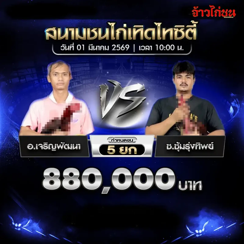 โปรแกรมไก่ชน เทิดไทซิตี้ 1 มีนาคม 2569 : อ.เจริญพัฒนา vs ซุ้มรุ่งทัพยา (880,000 บาท)