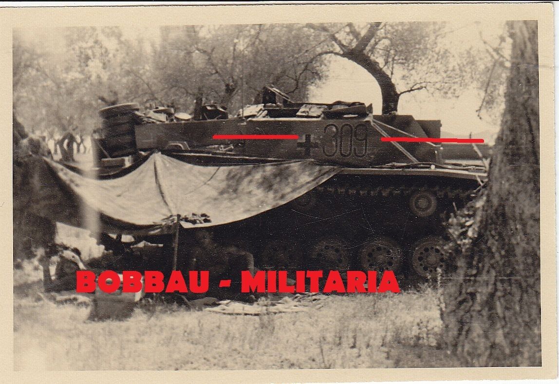 Sturmgeschütz-Brigade 201 STUG III Langrohr Grie