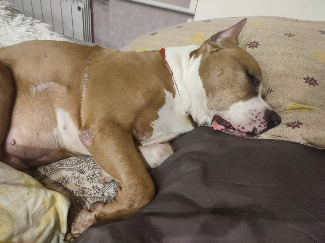 E43D8608-6D27-4393-BA21-4A4C07984AAE