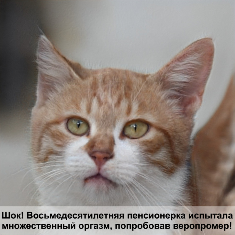 таблетки от глистов для кошек