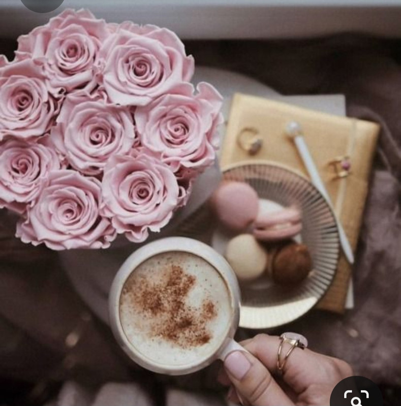 Screenshot_20230309_224907_Pinterest