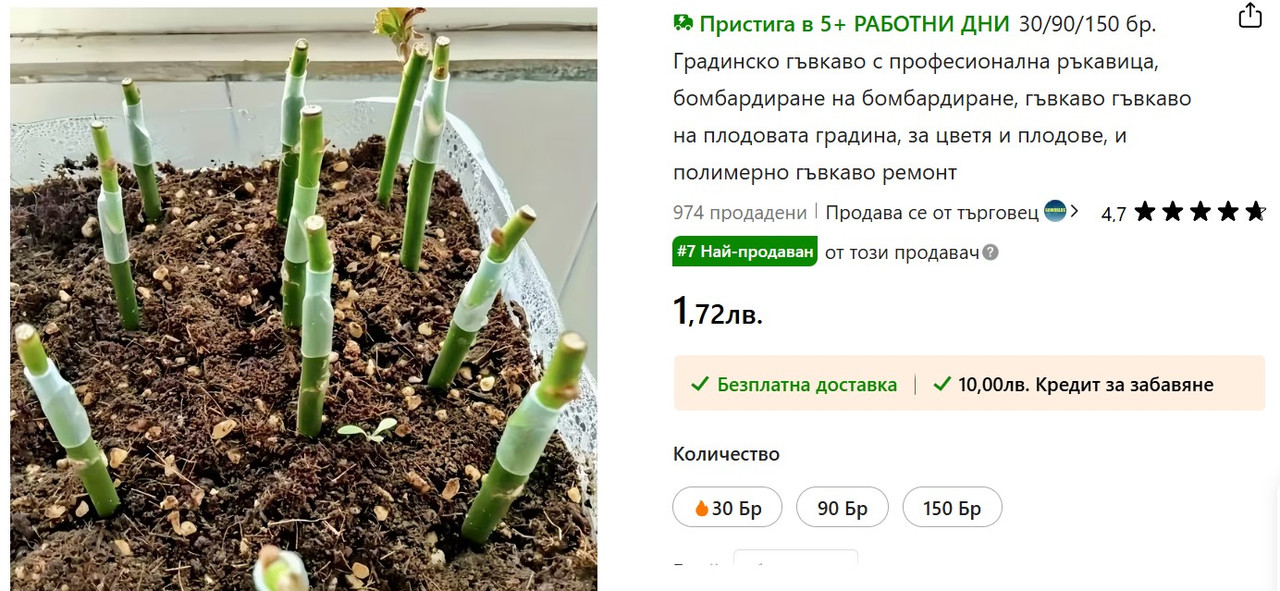 Screenshot 2025 12 11 085714