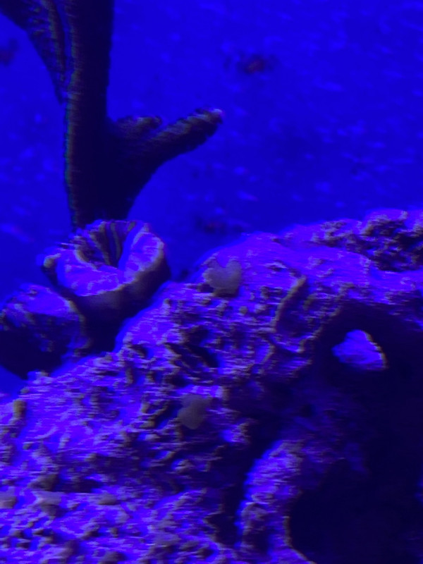 01813565-6C74-4BA1-B68C-5D7B8CB197B0