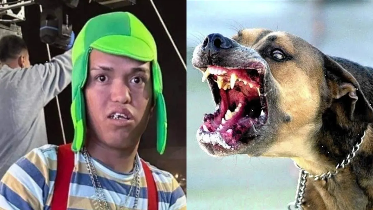 Medio Metro mintió, aseguran que nunca fue mordido por un perro con rabia
