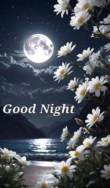 night