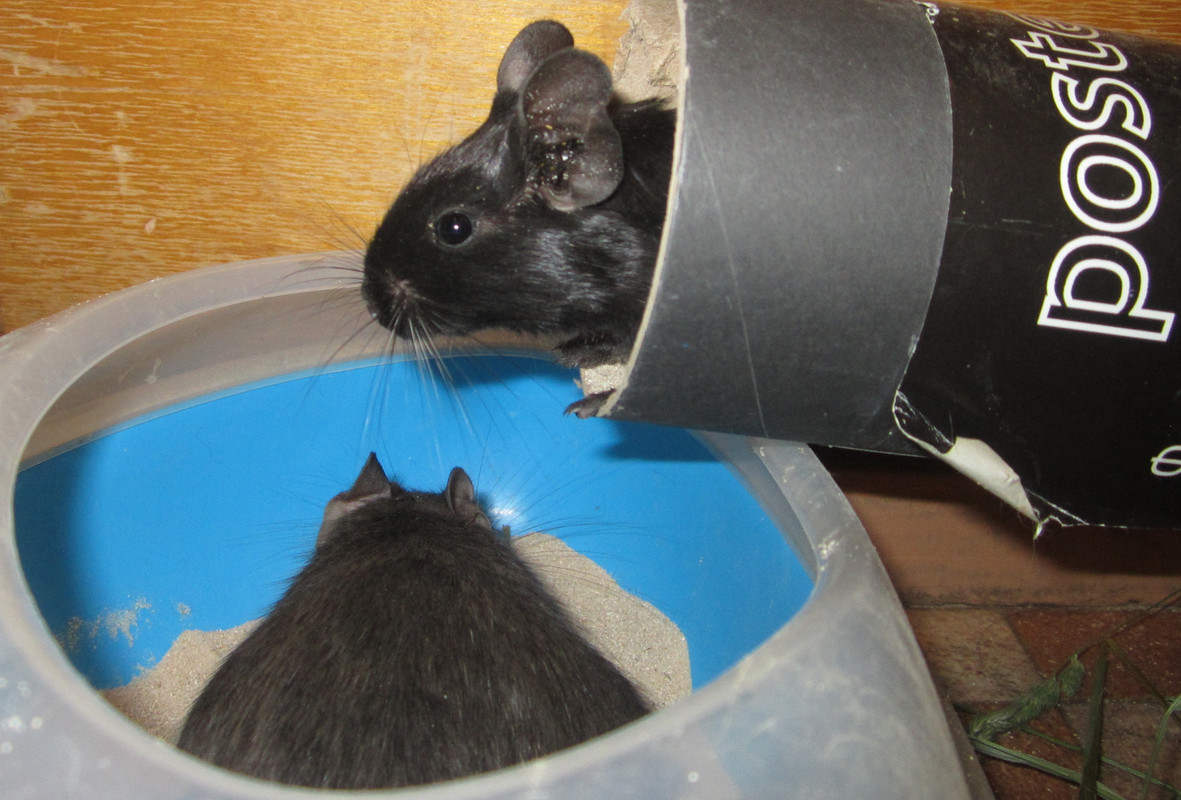 Галактика 2 (1)