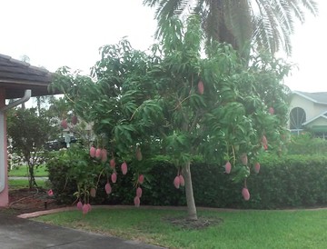 20160628_174314_2