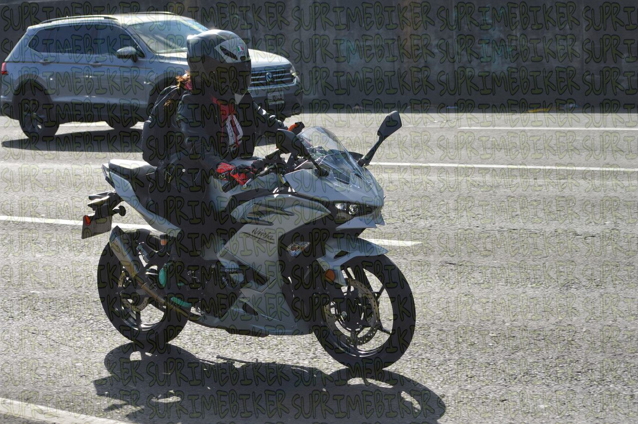DSC 0155