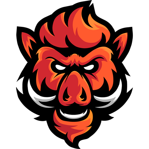 Boars Gaming