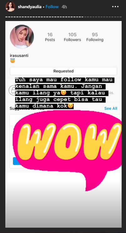 Shandy Aulia menelusuri akun instagram yang menghujatnya
